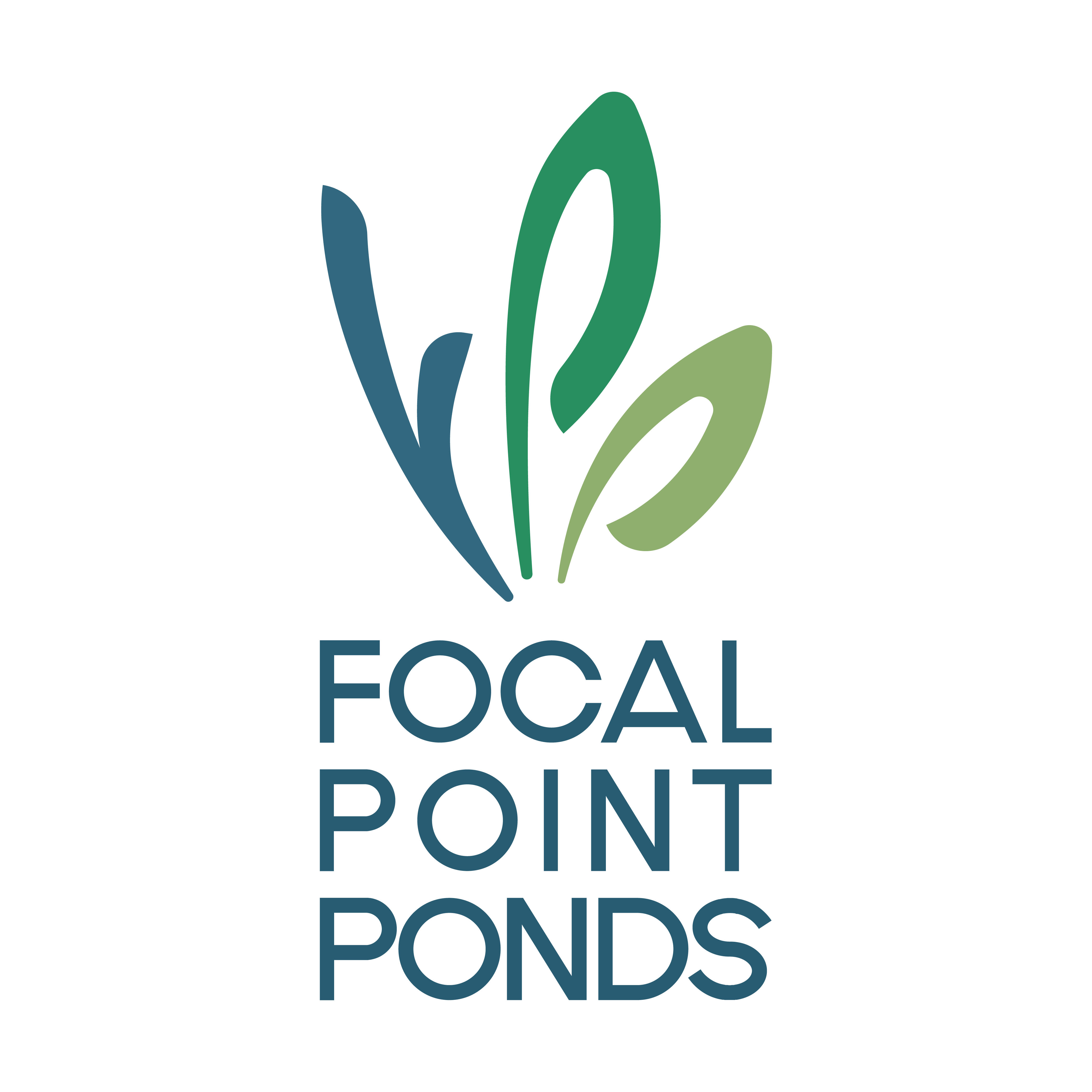Focal Point Pods graphic design preview