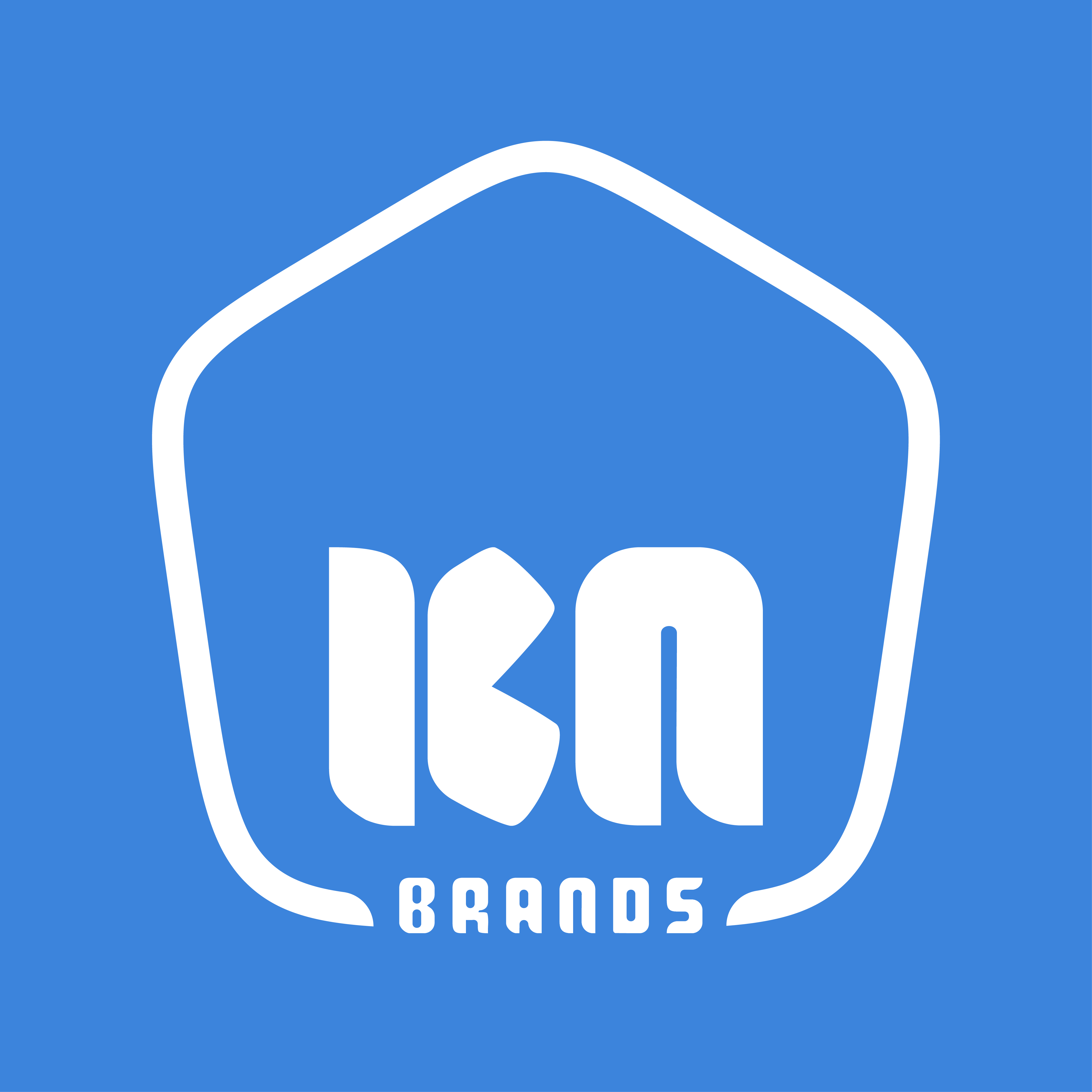 KN Brands graphic design preview